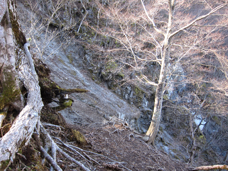 20200110hike (41)
